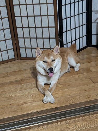 PXL_20250806_113326622