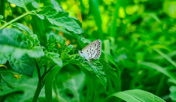 IMG_20250705_152157245_HDR-EDIT