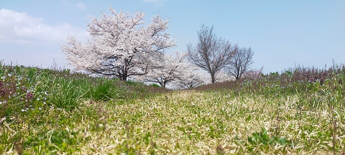 IMG20250417104900