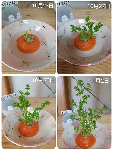 21-11-02-12-03-36-650_deco