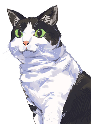 sonota_014