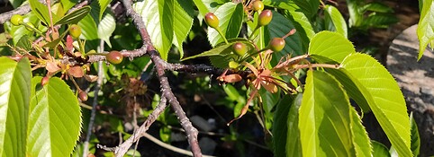 IMG_20210415_163046