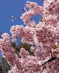 IMG_20210315_023953