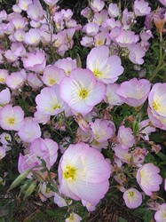 IMG_20230506_063250