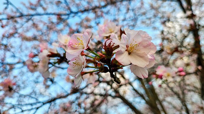 IMG_20250417_174824659_HDR~2
