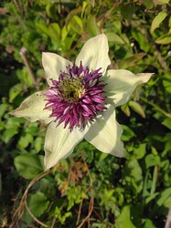 IMG_20230506_063655