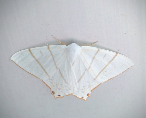 IMG_20200715_164731_HDR_3