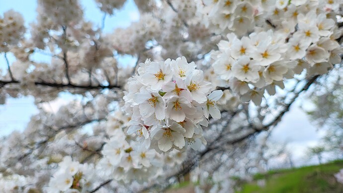 IMG_20250417_175029206_HDR~2