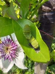 IMG_20230511_085805