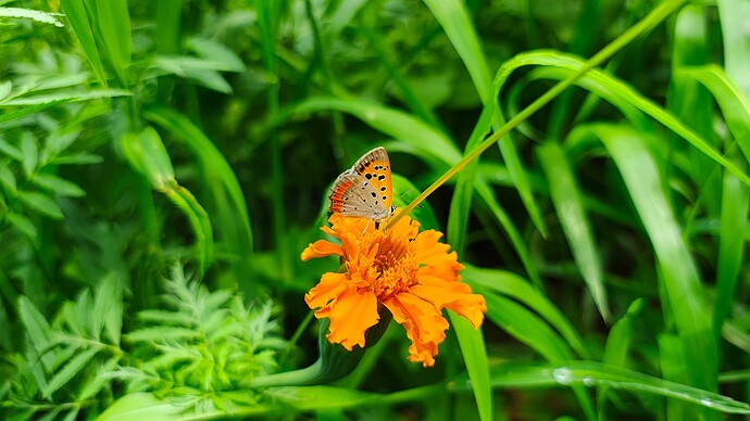 IMG_20250811_135835204_HDR