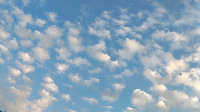 IMG_20250729_180831838_HDR