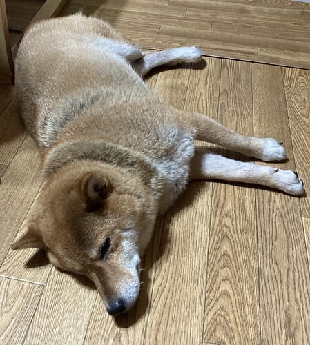 2025-09-04-19-47-47-581