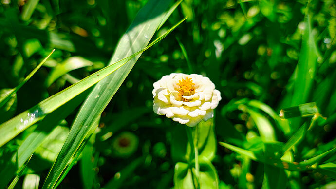 IMG_20260810_101736323_HDR-EDIT