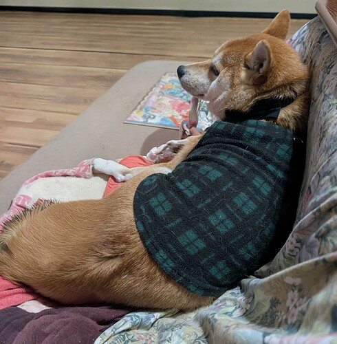 2025-11-13-14-37-38-277