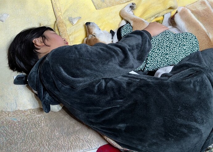 2025-11-01-19-48-46-836