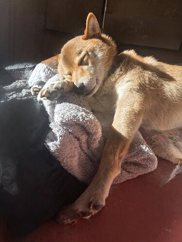 2025-11-30-15-02-34-293