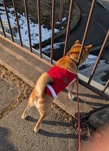 2026-01-17-15-44-35-772