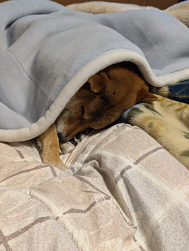 PXL_20260209_215445800