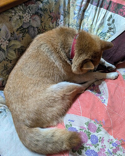 2025-11-01-19-35-23-477