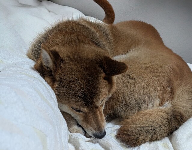 2025-10-03-07-17-31-518