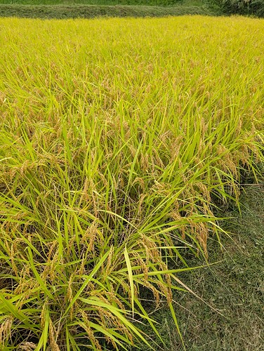 PXL_20250908_023409531