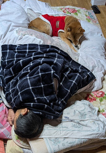 2026-02-15-07-52-06-675