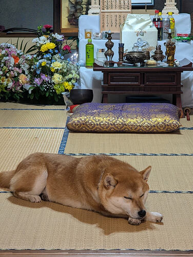 2026-02-27-19-07-54-789