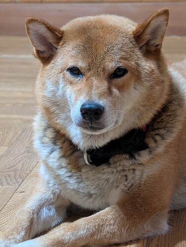 2025-08-20-11-28-40-336