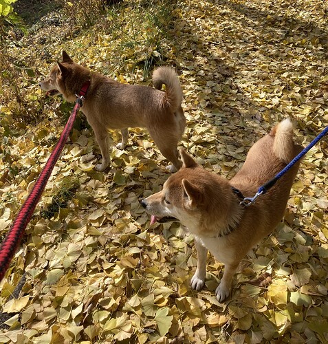 2025-11-25-06-37-36-316