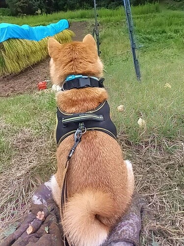 2025-09-13-13-08-18-073