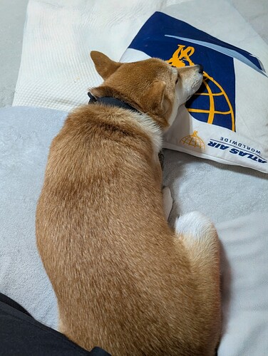 2025-11-07-10-15-52-106