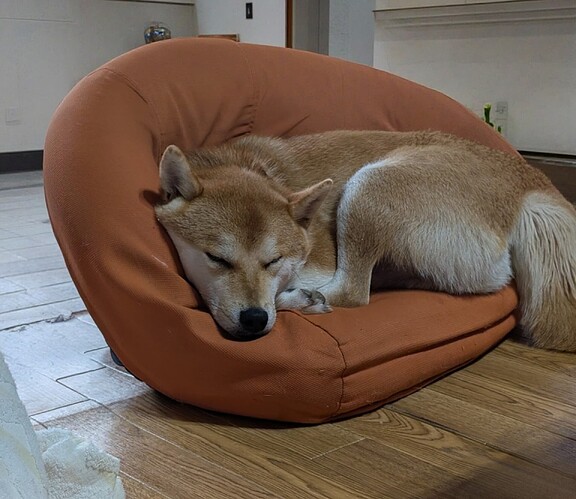 2025-10-11-11-08-09-913