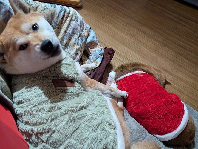 2025-12-25-09-08-47-718