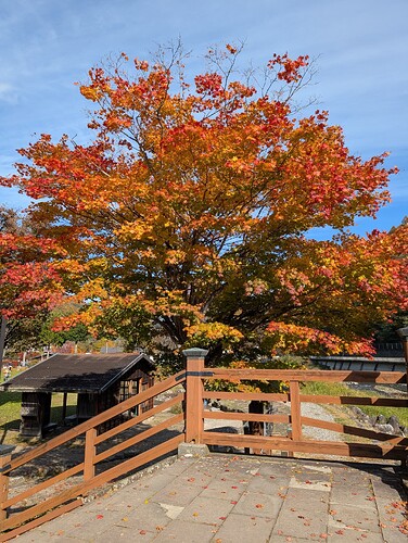 PXL_20251108_035647302