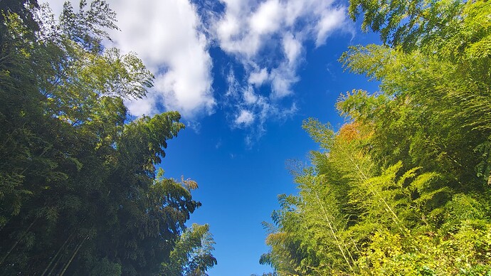 IMG_20251112_123551178_HDR