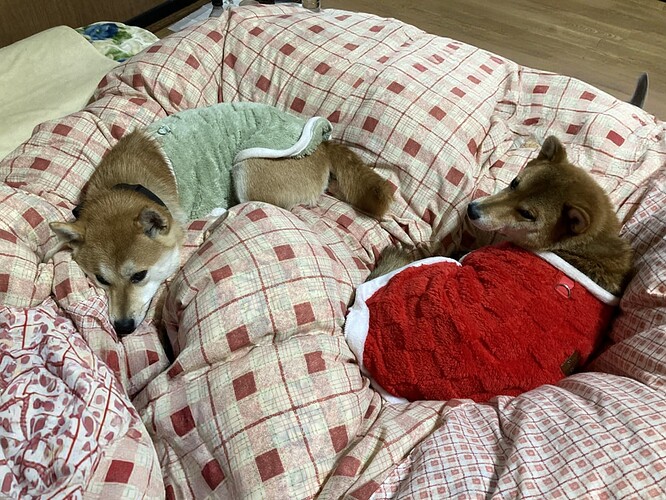 2025-11-22-07-10-05-072