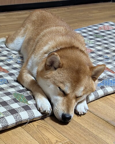 2025-08-14-18-05-08-264