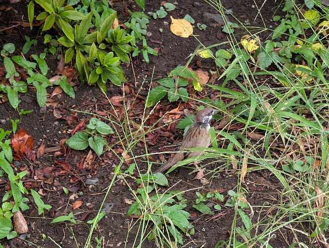 PXL_20251004_040337244