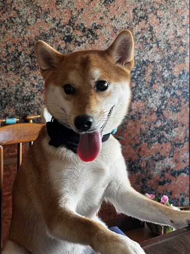 2025-07-28-06-21-31-066