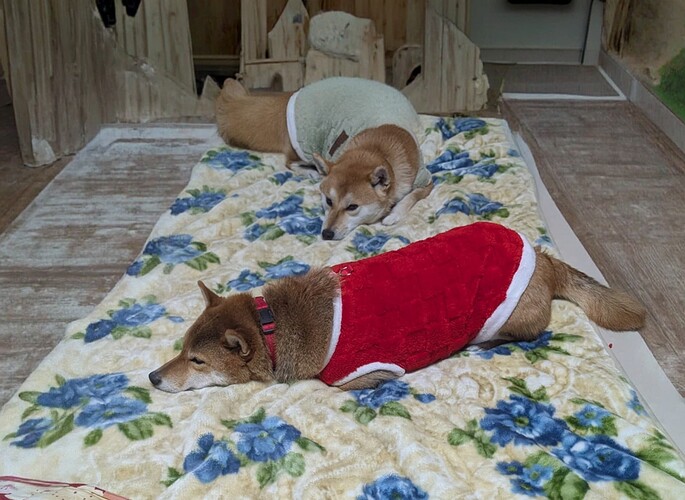 2025-11-26-20-27-51-029