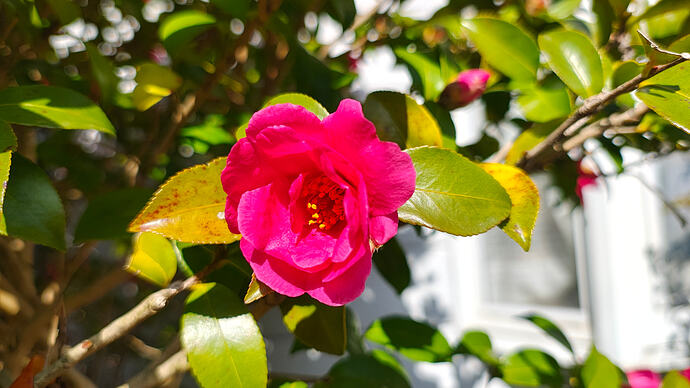 IMG_20260301_114647005_HDR