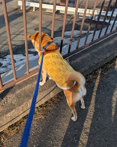 2026-01-17-15-45-18-664