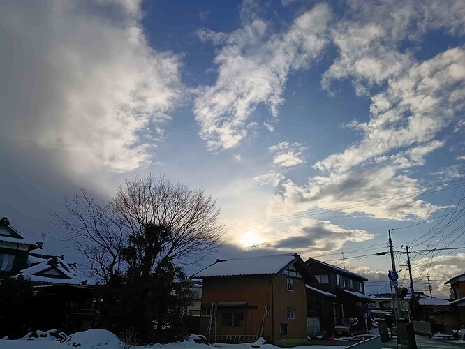 IMG_20260131_160117737_HDR_compressed