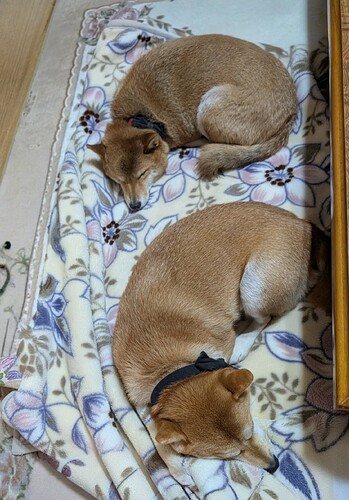 2025-10-25-07-18-46-060