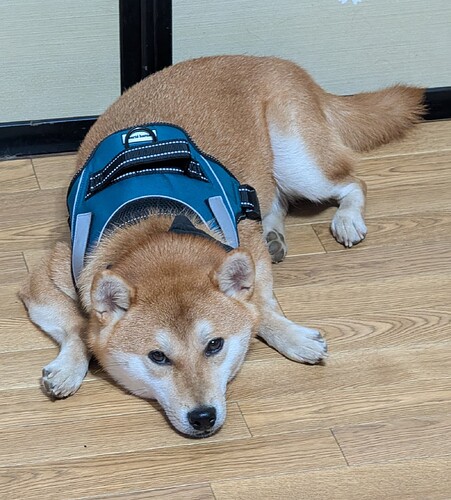 2025-09-02-14-58-34-012