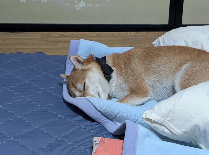 2025-10-24-19-48-28-650