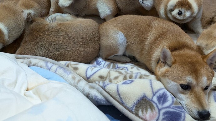 2025-10-24-20-01-57-304