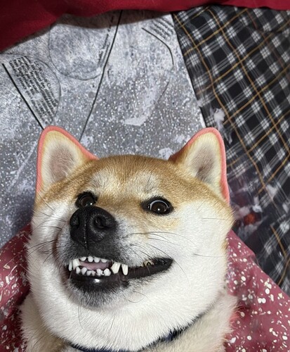 2026-01-03-13-13-44-064