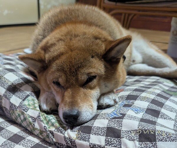 2025-09-06-09-01-20-192