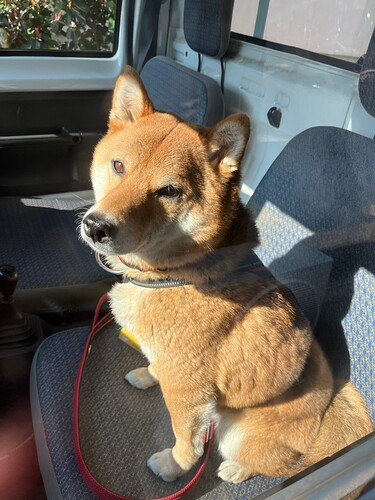 2026-04-03-09-20-53-587